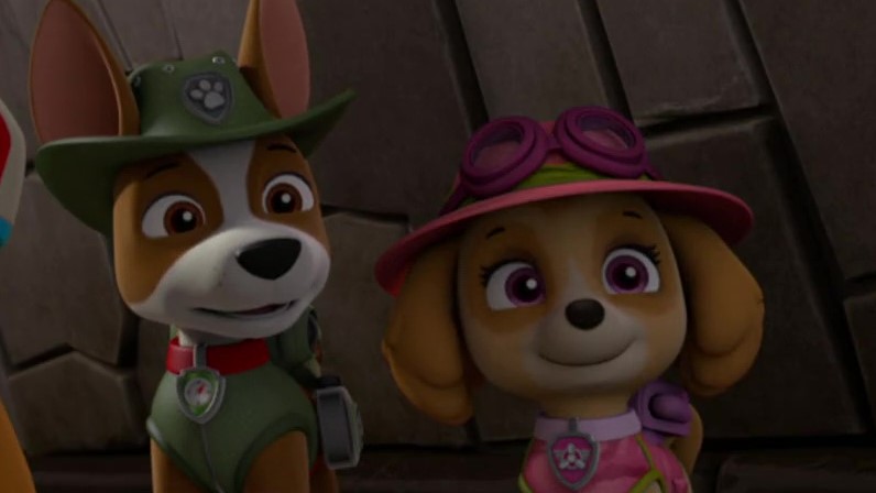 Tracker, Wiki Paw Patrol