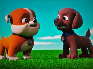 Rocky & Rubble | Paw Patrol Relation Ship Wiki | Fandom