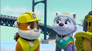 paw patrol rocky and everest