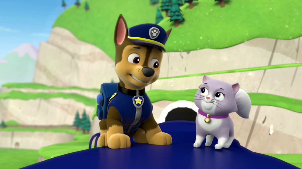 Chase & Zuma, Paw Patrol Relation Ship Wiki