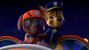 PAW Patrol Live! - Zuma is a playful Labrador pup. This energetic beach  puppy is the PAW Patrol's water rescue dog! 🌊 Zuma loves to laugh and  surf. You can catch Zuma