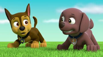 Walking chase store paw patrol