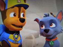 paw patrol chase and rocky