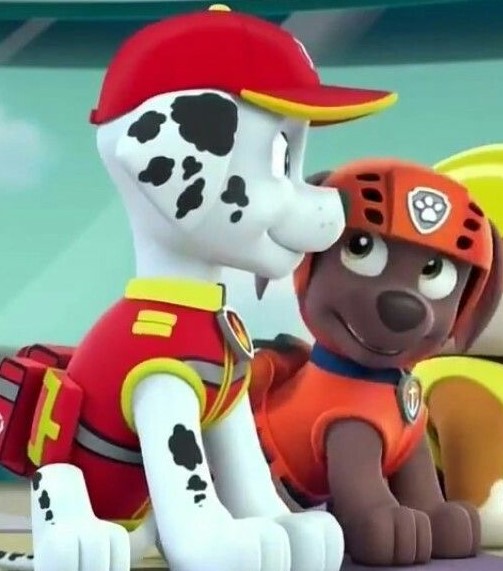 paw patrol marshall and skye