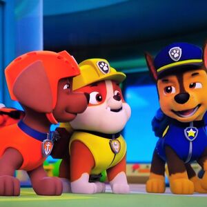 paw patrol chase and zuma