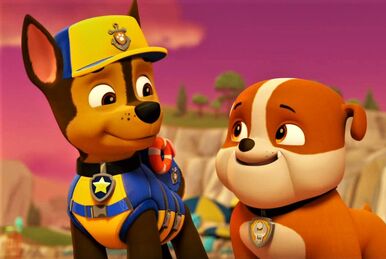 Chase & Zuma, Paw Patrol Relation Ship Wiki