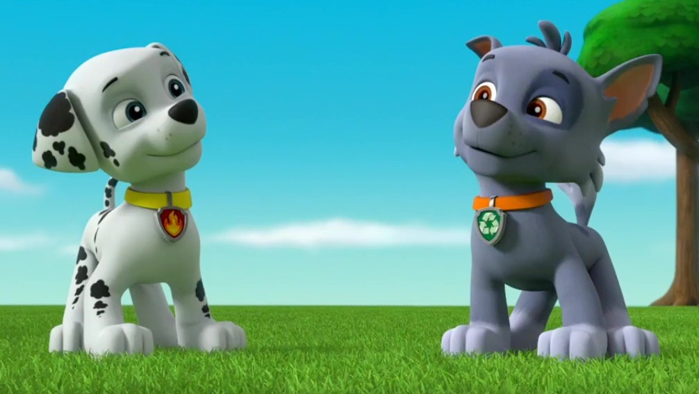 paw patrol marshall and rocky