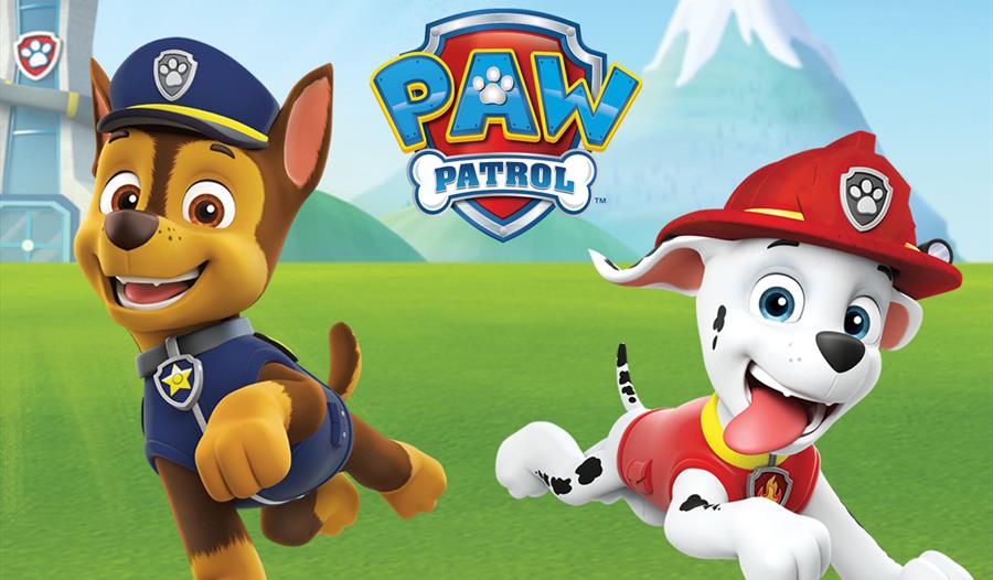 paw patrol marshall and chase