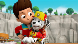 Ryder and Marshall gallery Paw Patrol Relation Ship Wiki Fandom