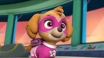 Pawpatrol Histoires - Wattpad