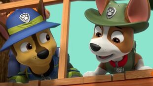 Chase & Marshall, Paw Patrol Relation Ship Wiki