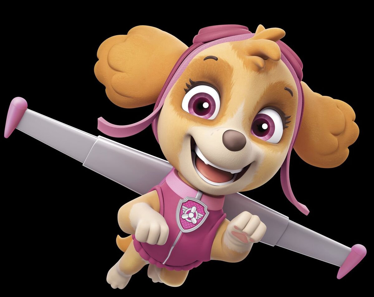 Skye, Paw Patrol Relation Ship Wiki