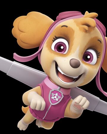 Skye Paw Patrol Relation Ship Wiki |