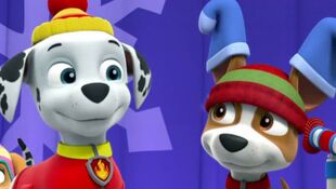 Chase & Marshall, Paw Patrol Relation Ship Wiki