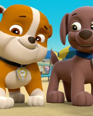 chase and zuma