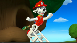 Ryder/Gallery - PAW Patrol Wiki  Patrulha canina ryder, Patrulha canina,  Marshall de paw patrol