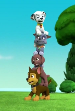 Zuma, Paw Patrol Relation Ship Wiki, Fandom