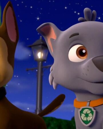 Chase Rocky Paw Patrol Relation Ship Wiki Fandom