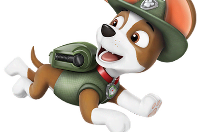 Paw Patrol, tra i cagnolini arriva il cucciolo disabile Rex