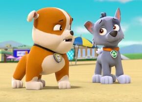 Rocky and Zuma Solve a Stinky Mystery!, PAW Patrol