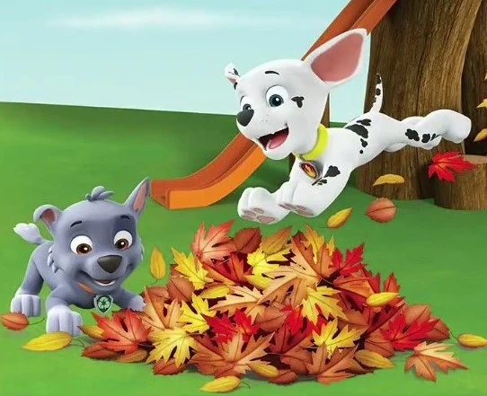 paw patrol marshall and rocky