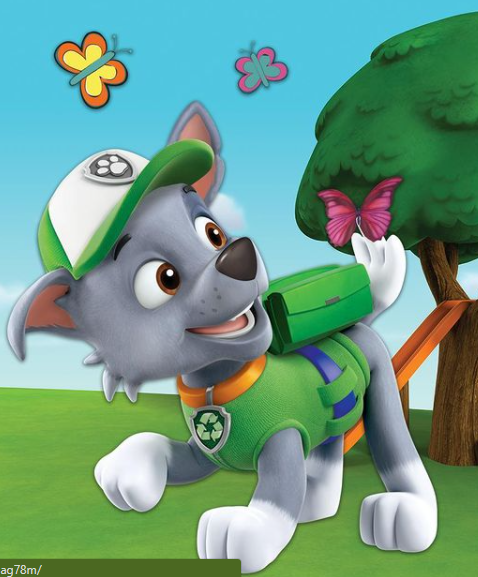 what kind of puppy is rocky from paw patrol