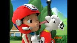 Ryder and Marshall gallery Paw Patrol Relation Ship Wiki Fandom