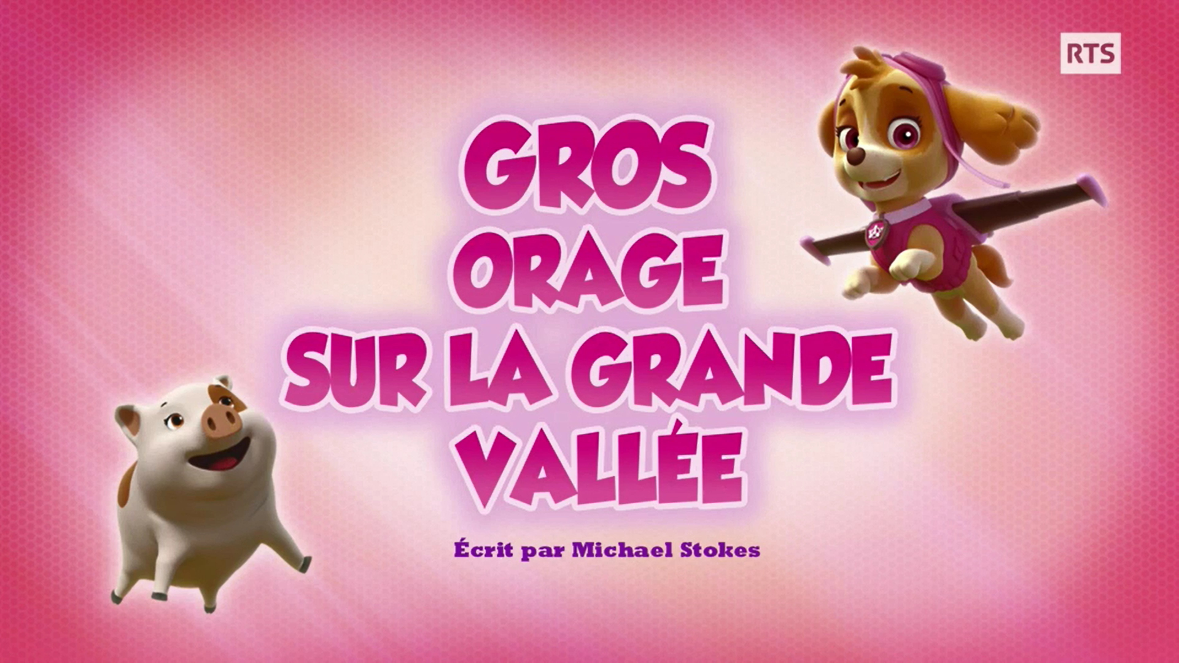 Pups Save A High Flying Skye Paw Patrol Wiki Fandom