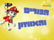 מפרץ ההרפתקאות הגורים והאווזון.png (391 KB) "Pup Pup Goose" ("הגורים והאווזון") title card on Nick Jr.