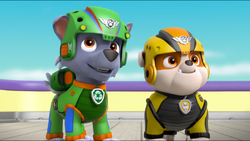 Paw patrol air rescue rubble top
