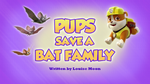Pups Save a Bat Family (HQ)