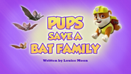 Pups Save a Bat Family (HQ)