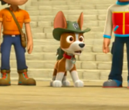 Pup Pack and hat only (Animation error)