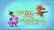 "Pups Save Daring Danny's Hippo" ("הגורים מצילים את ההיפופוטמית של דני האמיץ") title card on Nick Jr.