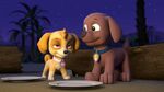 PAW.Patrol.S02E16.Pups.Save.a.Mer-Pup.720p.WEBRip.x264.AAC 117284