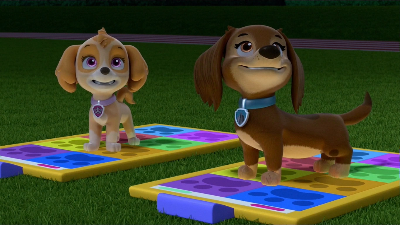 Pup Boogie Contest/Trivia | PAW Patrol 