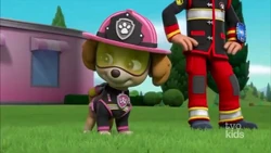 Skye/Gallery/Ultimate Rescue: Pups Save 