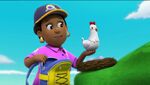 PAW Patrol Pups Save the Songbirds Scene 33