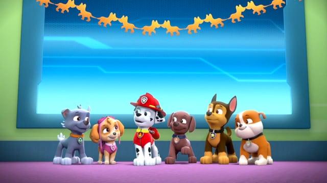 audition plyndringer munching The Best of Friends | PAW Patrol Wiki | Fandom