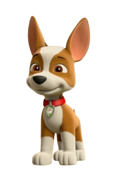 Tracker, PAW Patrol Wiki