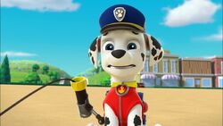 Paw patrol online marshall home alone
