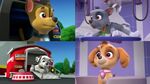 PAW.Patrol.S01E15.Pups.Make.a.Splash.-.Pups.Fall.Festival.720p.WEBRip.x264.AAC 193527