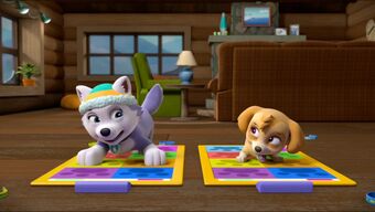 paw patrol pup pup boogie toy