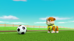 Pups Soccer 50