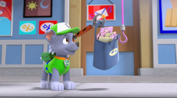 PAW Patrol Pups Save Friendship Day Scene 2