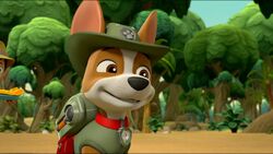 Tracker/Gallery/Pups Save the PawPaws, PAW Patrol Wiki