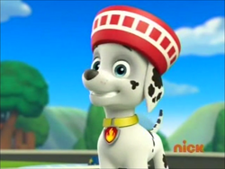 Marshall/Gallery/Pups Save a School Day, PAW Patrol Wiki