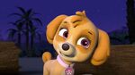 PAW.Patrol.S02E16.Pups.Save.a.Mer-Pup.720p.WEBRip.x264.AAC 110110