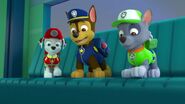 PAW.Patrol.S02E07.The.New.Pup.720p.WEBRip.x264.AAC 188355