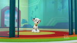 PAW Patrol 318B Scene 10 Marshall